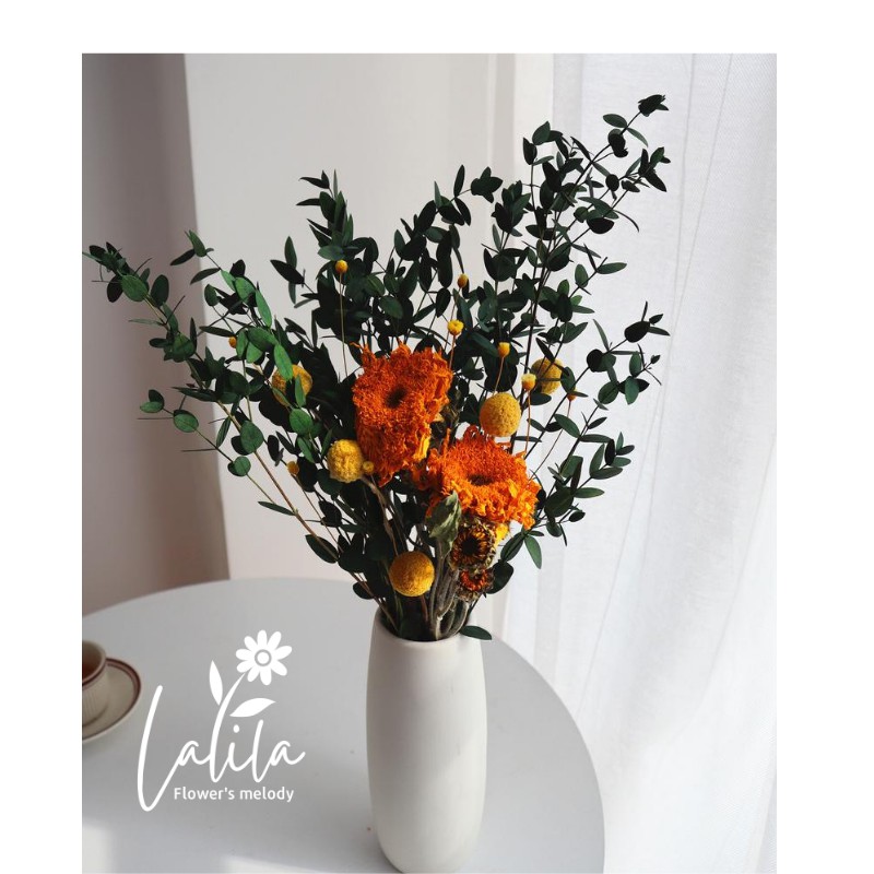 LÁ BẠCH ĐÀN KHÔ Eucalyptus trang trí cắm hoa decor nhà cửa chụp hình sản phẩm