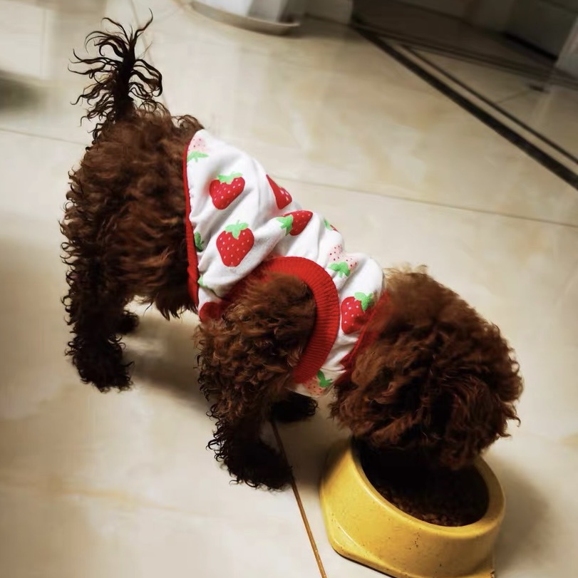 Áo Thun Ba Lỗ Cho Cún Mèo Dễ Thương Quần Áo Thú Cưng Mùa Hè Mát Mẻ Hihapet.