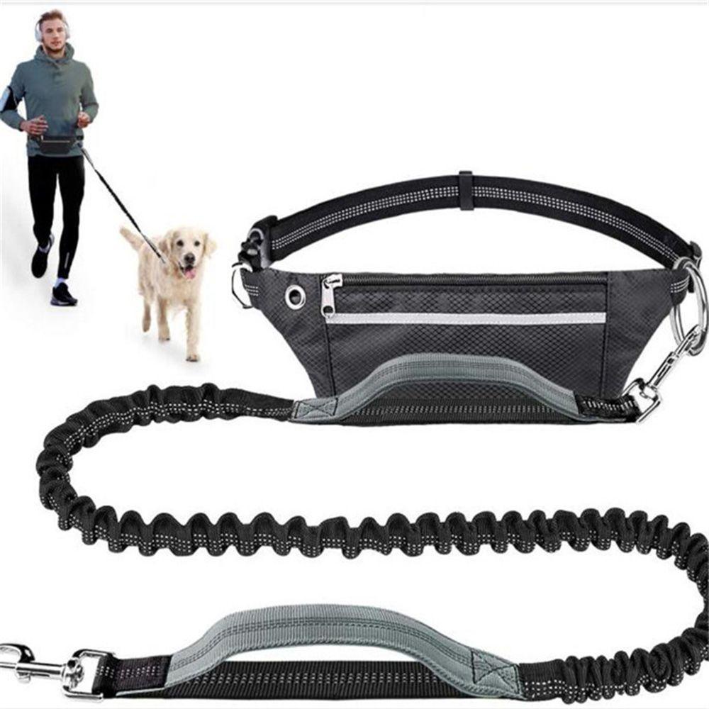 Dây Dắt Thú Cưng Đi Dạo Co Giãn Tùy Chỉnh Tiện Dụng