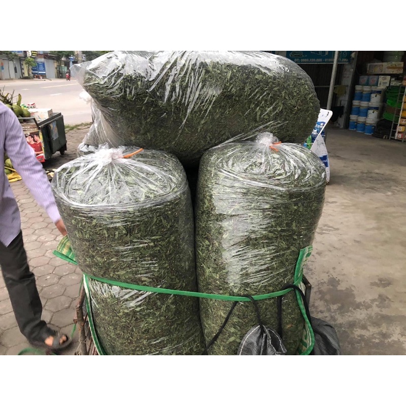 500g Cỏ ngọt xanh,thơm, ngon,mới