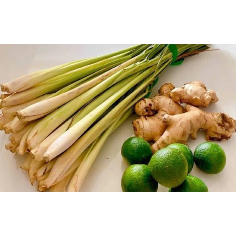 Đồ xông mũi cho F0, F1 Covid điều trị cách ly tại nhà Combo 1,5kg