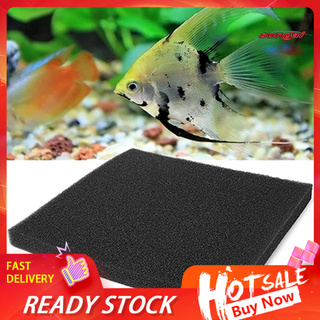 Miếng Bọt Biển Lọc Nước Cho Bể Cá Có Thể Tái Sử Dụng