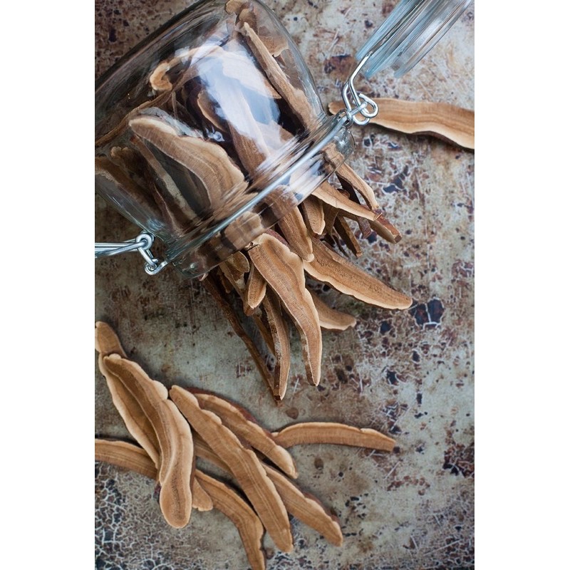 (500gr) Nấm Linh Chi MMG cắt lát Tại trại sản xuất dạng túi | BigBuy360 - bigbuy360.vn