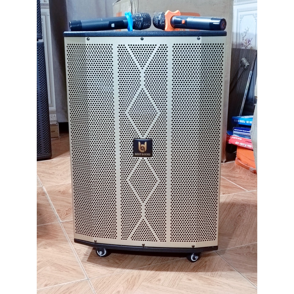 Loa kéo karaoke công suất lớn thùng gỗ B&D Model 9012 New, Công Suất 800W - Hàng Chính Hãng