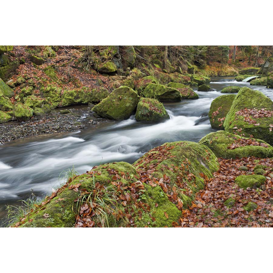 Tranh 3d thác nước chảy trong lành đắm mình cùng làn nước mát lạnh, xua tan cái nắng hè oi ả