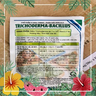 S rẻ Nấm đối kháng TRICHODERMA-BACILLUS (100g) chuẩn chất lượng