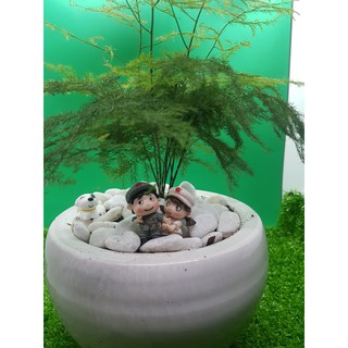 Sỏi Trắng Trang Trí 1KG