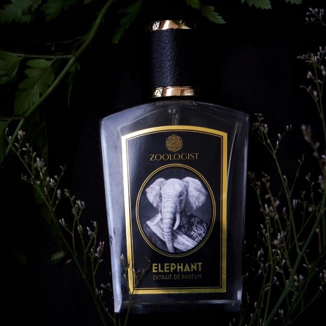 [ Minisize ] Nước hoa Zoologist Elephant
