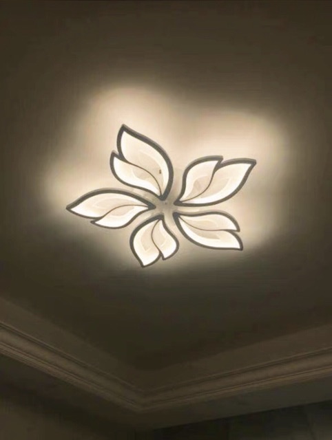 Đèn Trần Trang Trí Phòng Khách - Đèn Led Ốp Trần Hiện Đại mã 8405/5