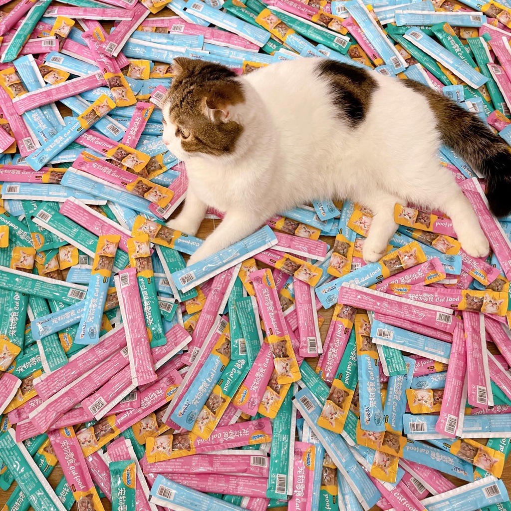 Que súp thưởng ăn vặt cá ngừ cho mèo