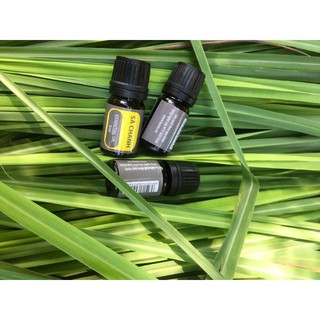 Tinh dầu tràm gió, sả chanh 5ml