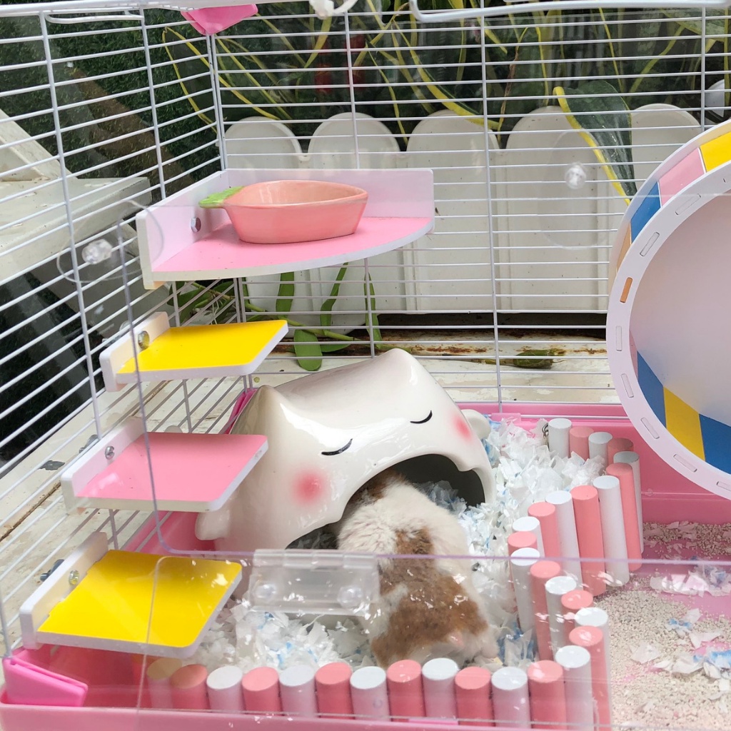 Nhà ngủ sứ hamster, THIÊN THẦN TRẮNG, dơi trắng siêu mát, dễ thương