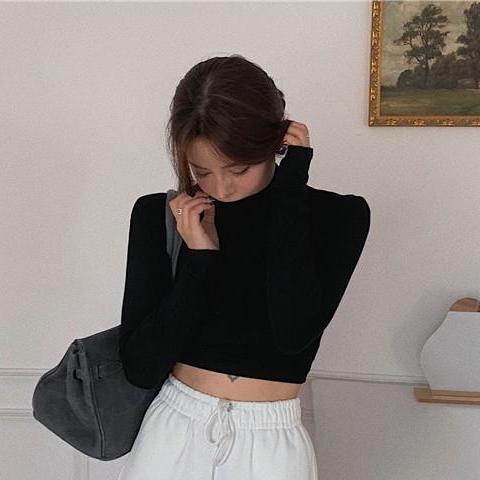 Áo Thun Cổ Cao Dáng Ôm Màu Trơn Đơn Giản Dễ Phối Đồ Thời Trang Hàn Quốc 2022