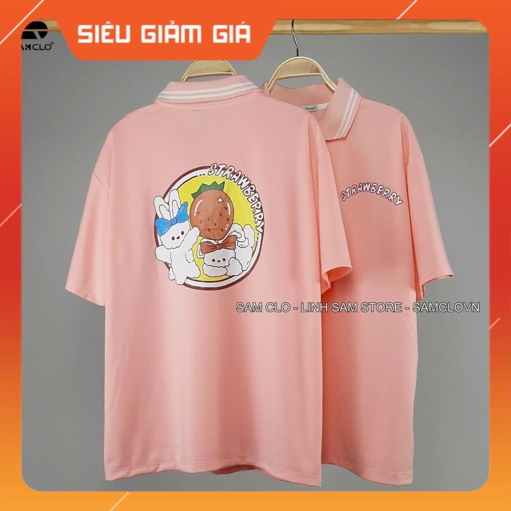 Áo thun Polo nữ tay lỡ form rộng SAM CLO phông freesize unisex mặc đi học, nhóm, lớp in hình thỏ trắng chữ STRAWBERRY