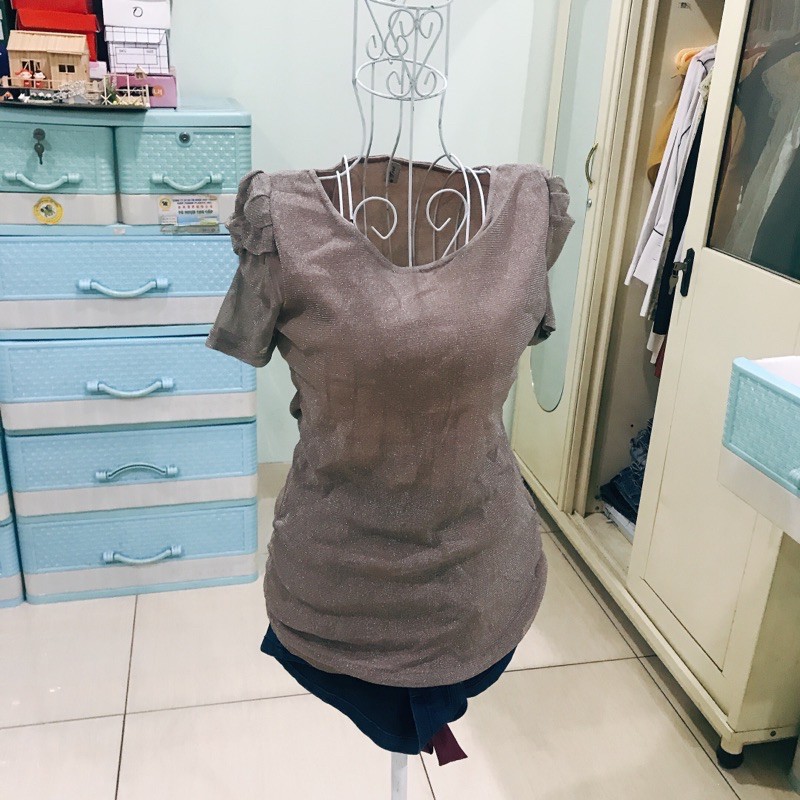 (2d) Áo thun nhũ kim tuyến bao sang