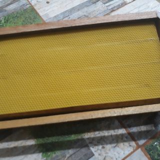 Combo 6 khung cầu ong mật (ong ý)