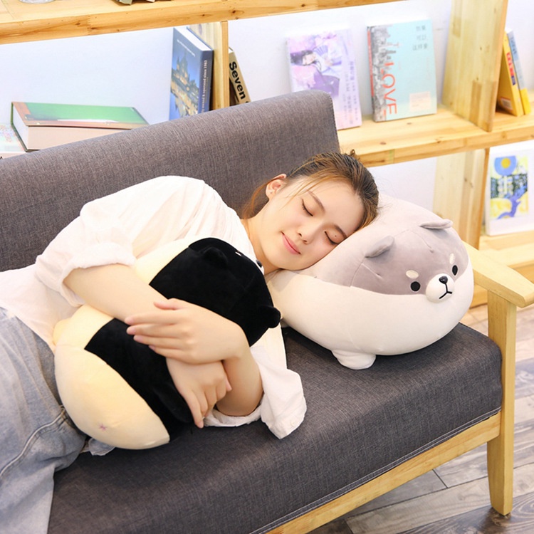Gấu bông chó Shiba mập ú dễ thương - gấu bông cute