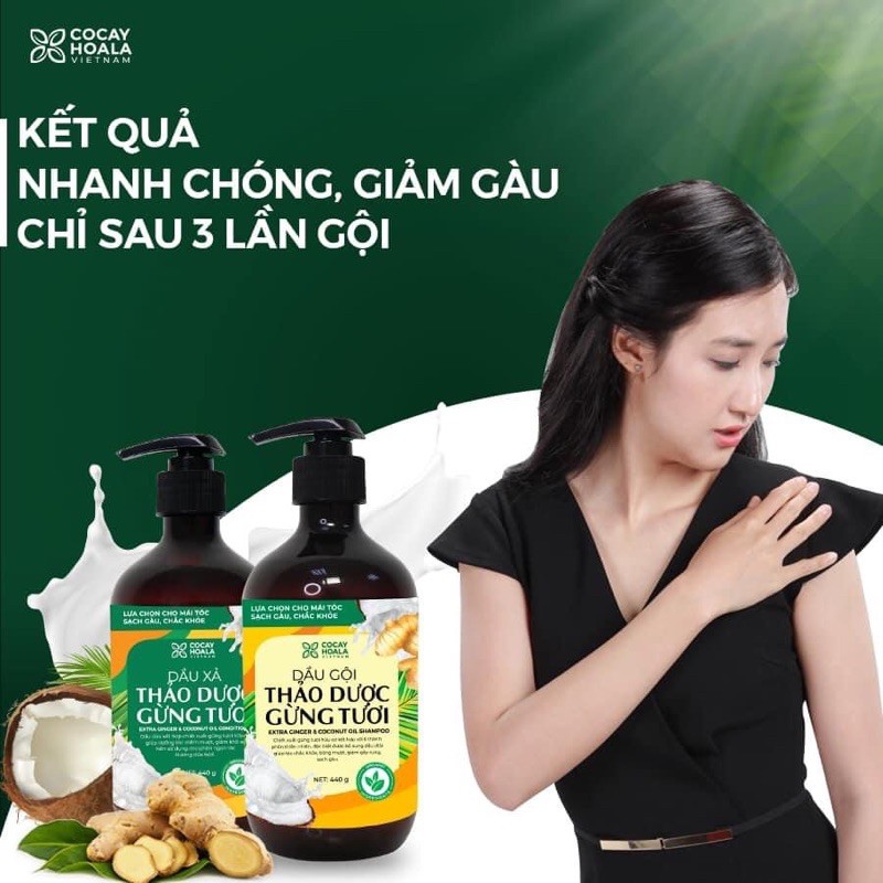 Dầu gội ngăn rụng tóc, giảm gàu Gừng Dừa Cỏ Cây Hoa Lá - kèm dầu xả