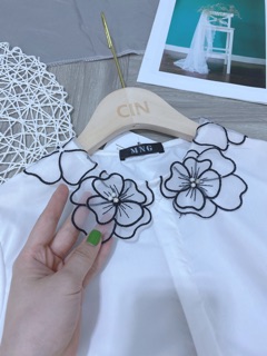 Sơ mi cổ bèo
