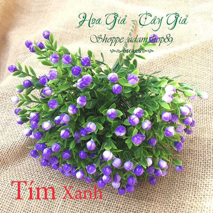 Hoa giả - Hoa Chiêm Điểm