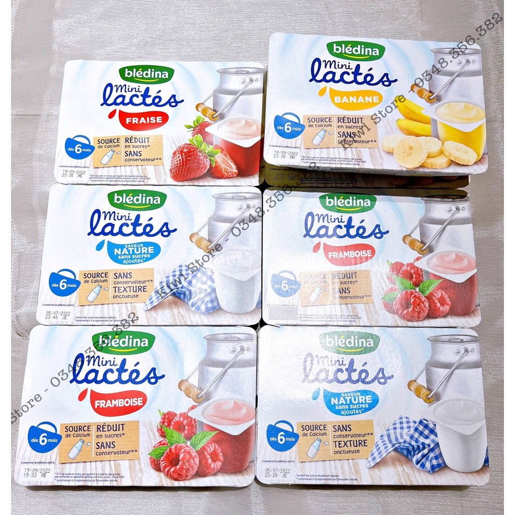 Sữa chua nguội Bledina mini lactes Pháp vị trái cây cho bé từ 6 tháng
