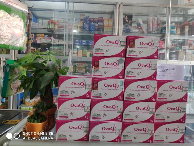 OvaQ1- Hỗ trợ sinh sản nữ 💥Giúp trứng khoẻ - dễ thụ thai - chính hãng 💥