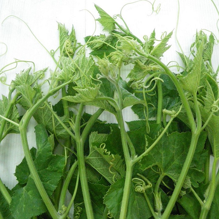 Hạt giống Bí siêu ngọn