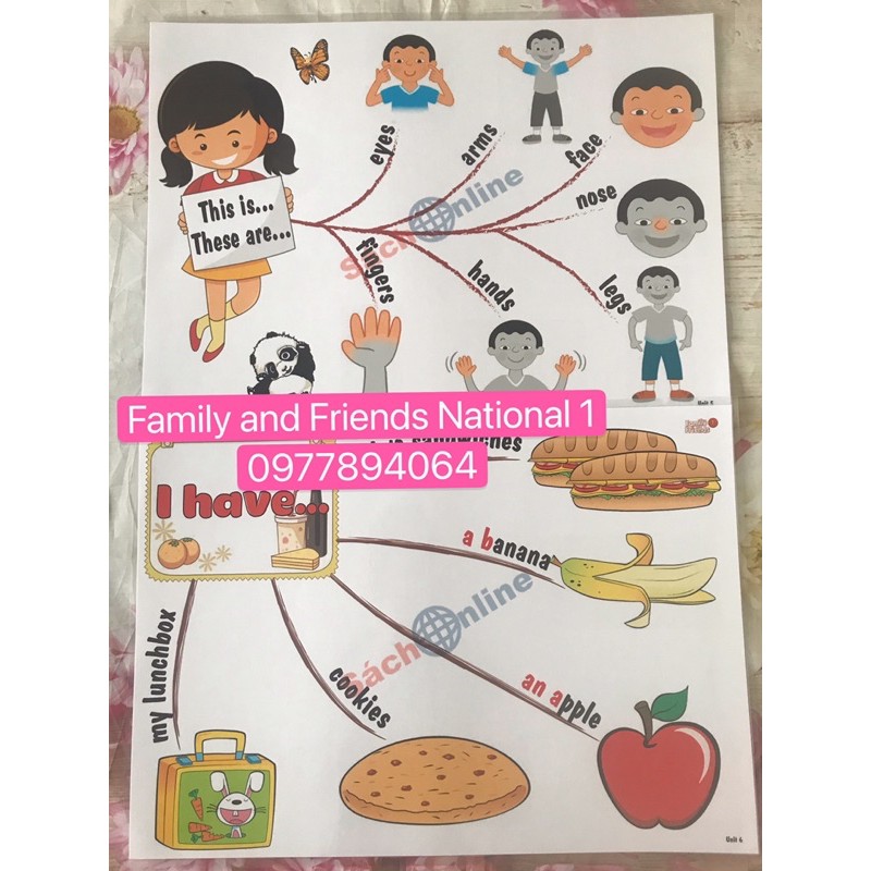 Mindmap luyện nói  Family and Friends 1 ( National Edition)