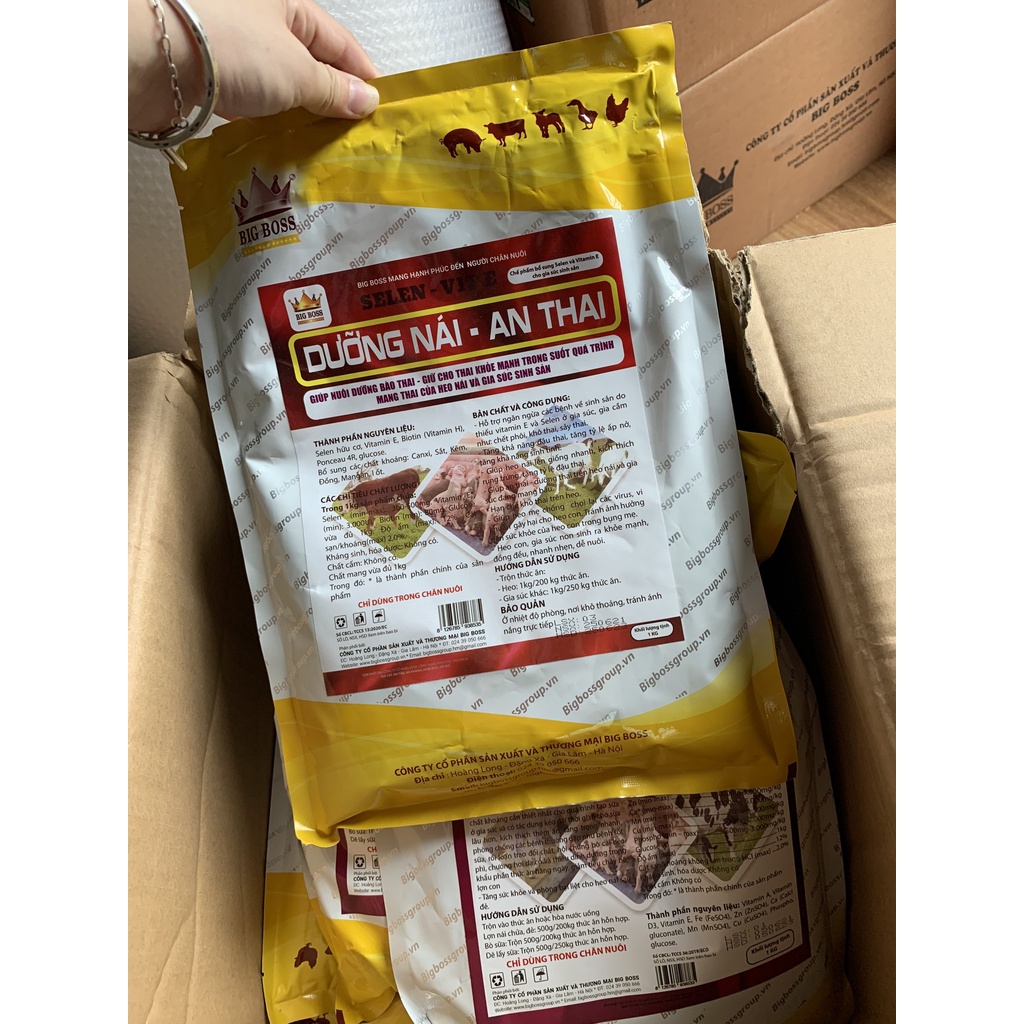 Dưỡng Nái,An Thai, Nuôi Dưỡng Bào Thai, Giữ Cho Thai Khỏe Mạnh Trong Quá Trình Mang Thai