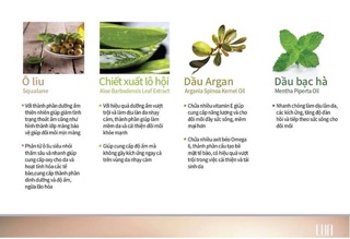 Son Dưỡng Môi Lụa Lip Balm