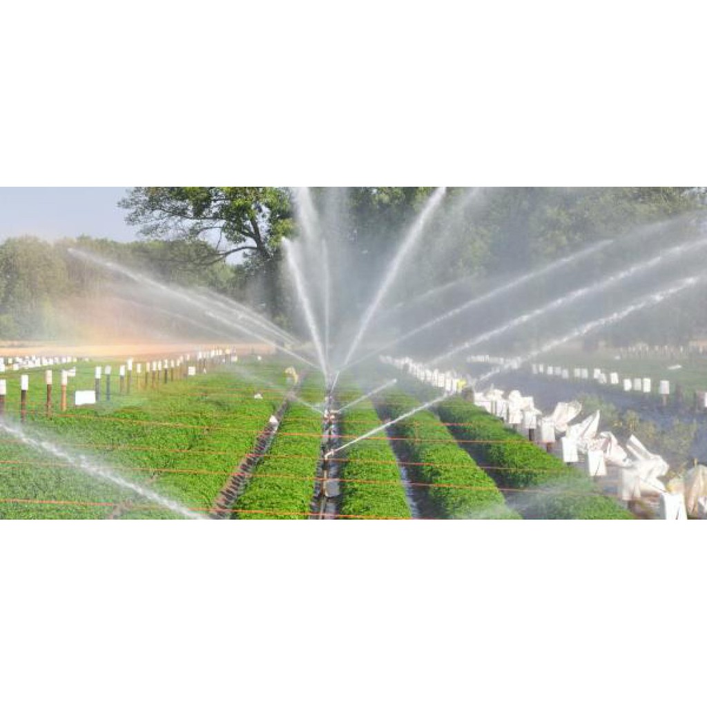 Bộ tưới cây tự động thông minh gồm van điện từ Phi 21 và công tắc hẹn giờ KG316T