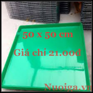KHAY HỨNG PHÂN CHIM BỒ CÂU BỘ 5 KHAY