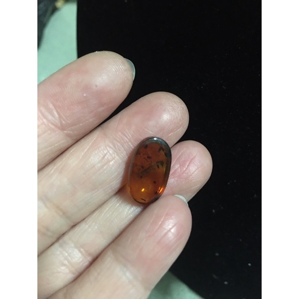 Hai viên hổ phách si tuyển Nhật