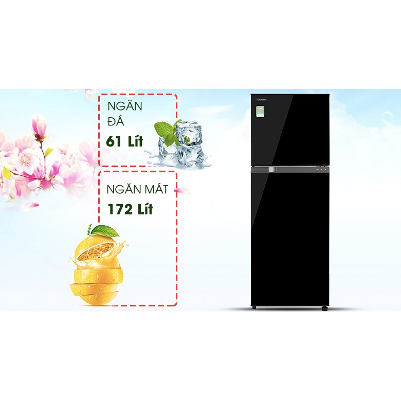 Tủ lạnh Toshiba Inverter 233 lít GR-A28VM(UKG1) chính hãng