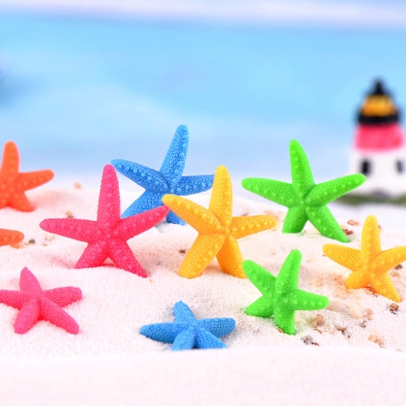 Set 10 sao biển mini nhiều màu sắc trang trí sân vườn