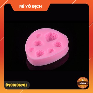 Dụng cụ làm bánh - Khuôn dâu mini silicon 3D, tạo hình trang trí bánh kem, rau câu