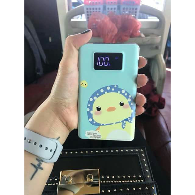 PIN SẠC DỰ PHÒNG