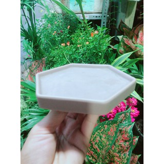 Đĩa Lót Chậu (đường kính 12cm)
