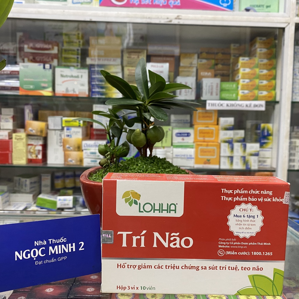 ✅ [Chính Hãng] Trí Não Hỗ trợ giảm các triệu chứng sa sút trí tuệ, teo não