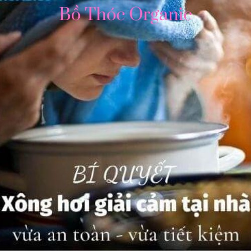 Tinh Dầu Lá Xông Giải Cảm Nguyên Chất Đến Từ Thiên Nhiên