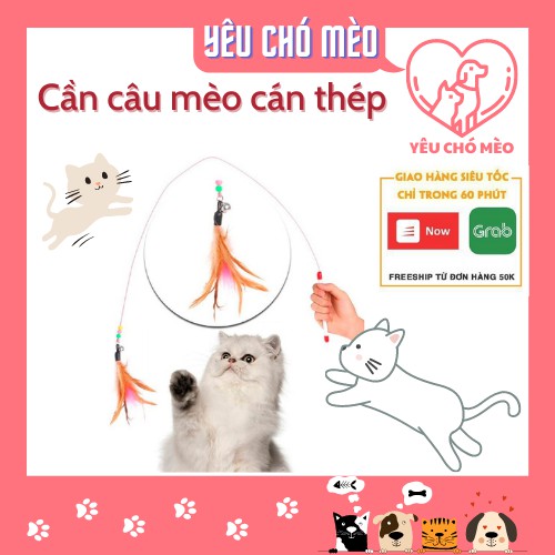 [Mã PET50K giảm Giảm 10% - Tối đa 50K đơn từ 250K] Cần câu mèo bằng thép không gỉ - đồ chơi cho mèo
