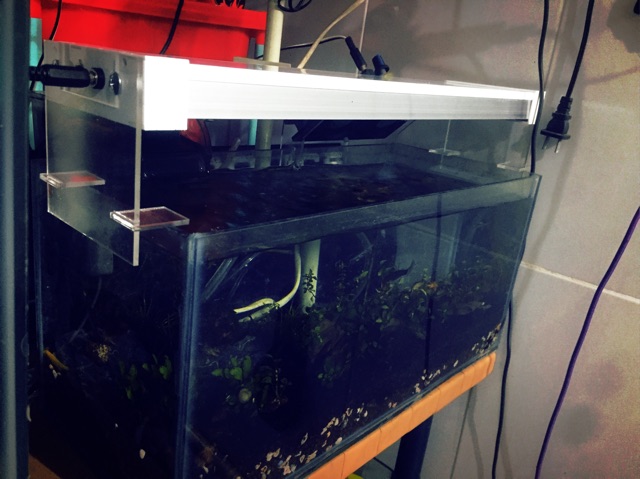 Đèn thuỷ sinh, đèn led thuỷ sinh