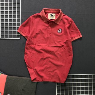 ÁO THUN NAM CÁ SẤU LOGO THỔ DÂN