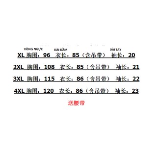 Đầm suông big size quảng châu D973