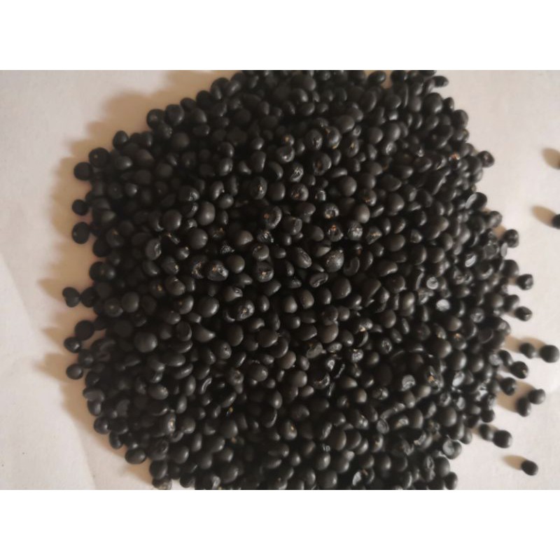 5 Lạng hạt giống Măng tây xanh F1 ( ươm hạt trực tiếp trên đất mềm ở chậu ươm hoặc bầu ươm không ủ h