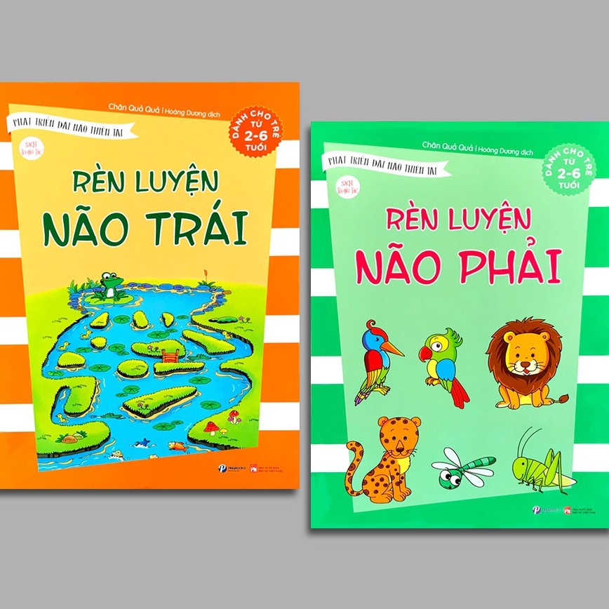 Sách - Rèn luyện não trái và não phải - Phát triển đại não thiên tài (Bộ 2 quyển)