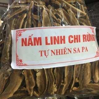 Nấm linh chi rừng tự nhiên 500g
