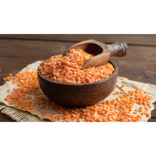[Non-gmo] Đậu lăng không biến đổi gen Date : 4/2026