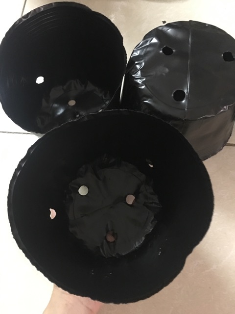 1kg chậu ươm cây giống 21-17 khoảng 110 chậu