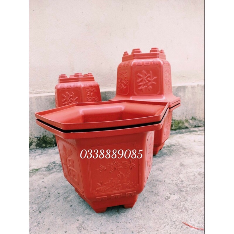 Chậu nhựa lục giác LG330 có  in hình tứ quí trồng cây siêu đẹp - Ảnh thật như hình